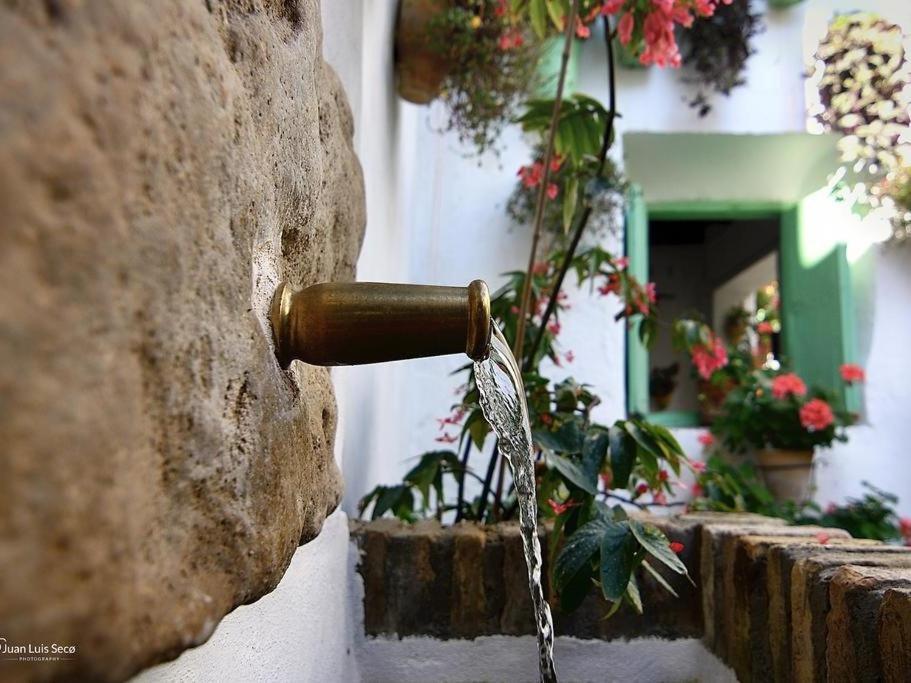 La Casa De La Costurera Apartman Córdoba Kültér fotó